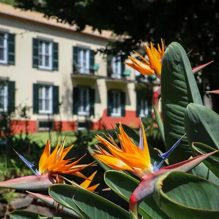 Quinta Da Bela Vista Hotell Funchal (Madeira)