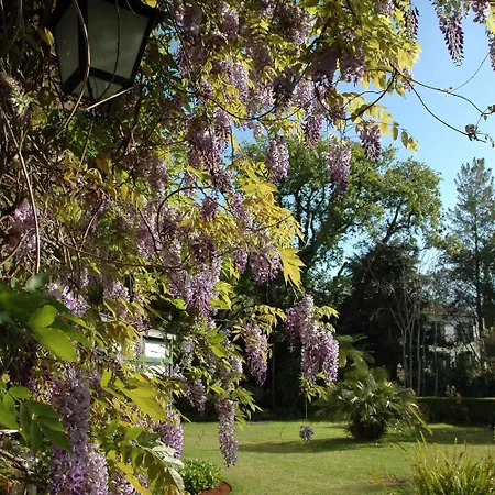 Quinta Da Bela Vista 5* Φουνκάλ